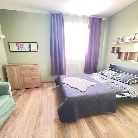 Fanta Flat France Suisse Saint-Louis (Haut-Rhin)