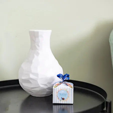 Fanta Flat France Suisse Saint-Louis (Haut-Rhin)