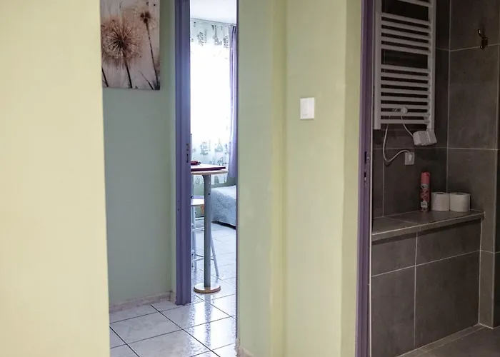 Fanta Flat France Suisse * Saint-Louis